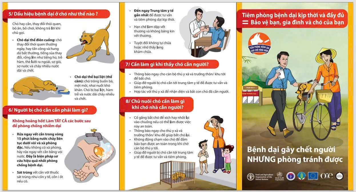 📢TUYÊN TRUYỀN PHÒNG, CHỐNG BỆNH DẠI